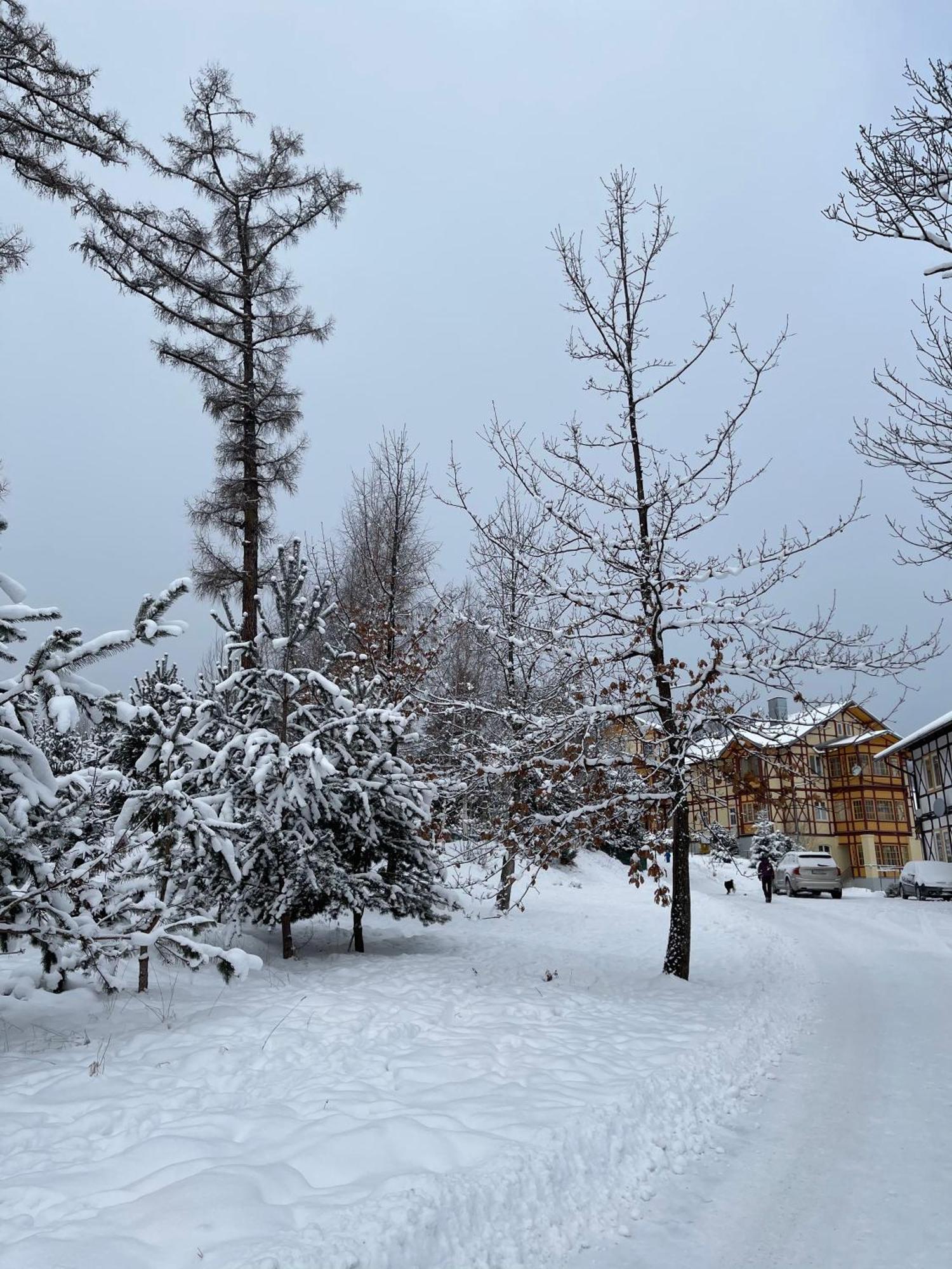 Vila Mudron Високі Татри Екстер'єр фото